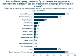 Гриценко назвали лучшим кандидатом в президенты от демоппозиции