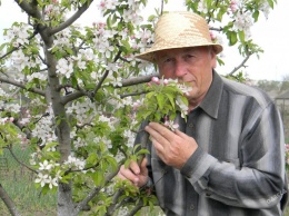 Пенсионер из-под Одессы «наутюжил» больше ста пейзажей