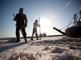 Жена пресс-секретаря Путина стала совладельцем производителя соли в Крыму