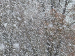 Погода на 5 декабря: в Украину идет шторм