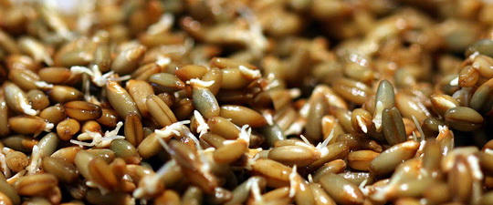 Как правильно готовить овсяную кашу на воде для диеты: рецепты геркулесовых каш для похудения