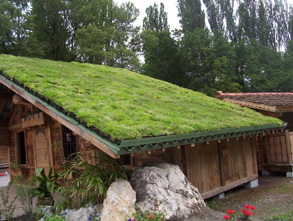И снится нам трава... трава на крыше дома