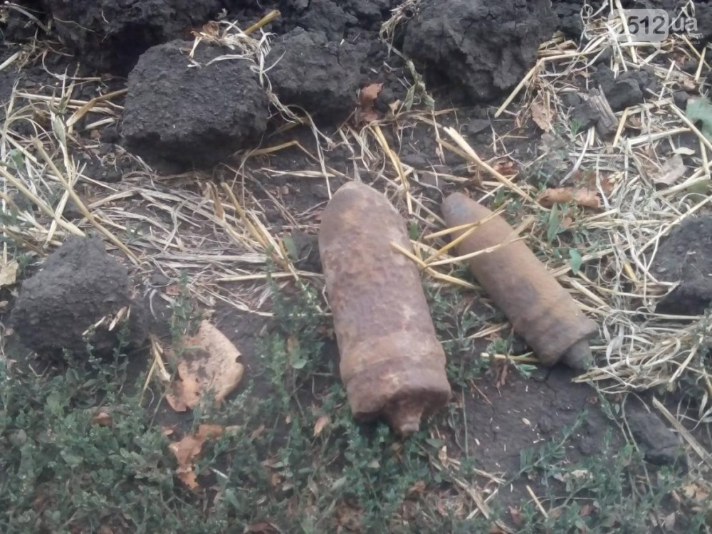 Николаевские пиротехники уничтожили 4 боеприпаса (ФОТО)
