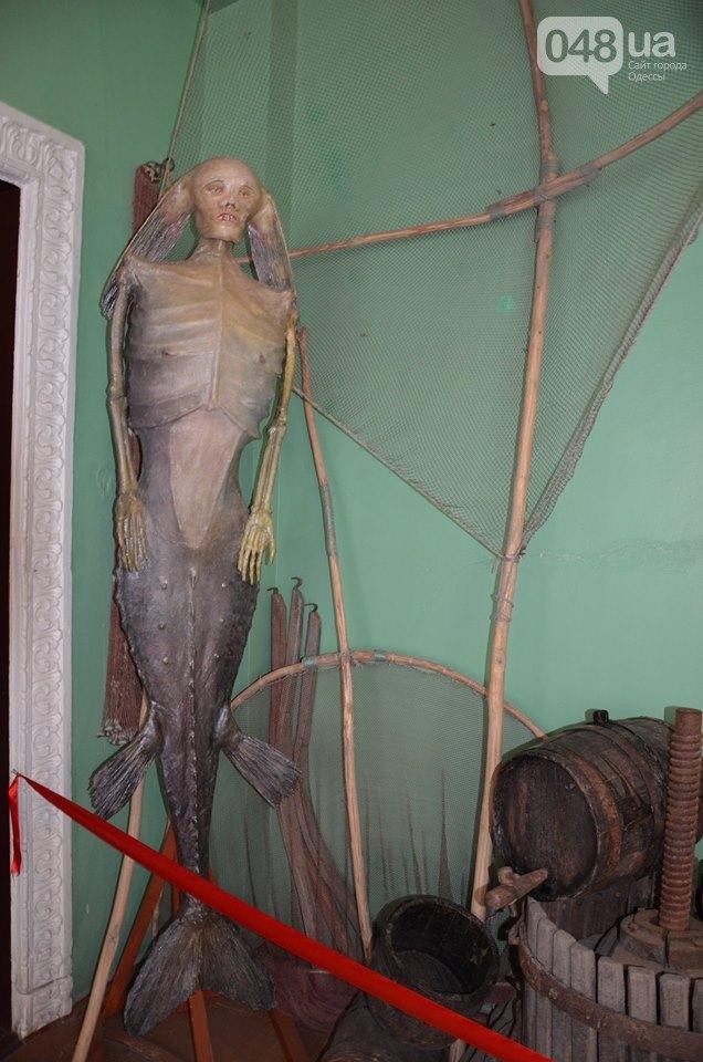 В одесском музее выставили... скелет русалки (ФОТО)