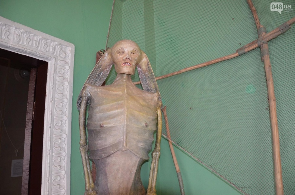 В одесском музее выставили... скелет русалки (ФОТО)