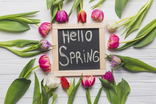 1 марта: поздравления с первым днем весны в открытках и смс