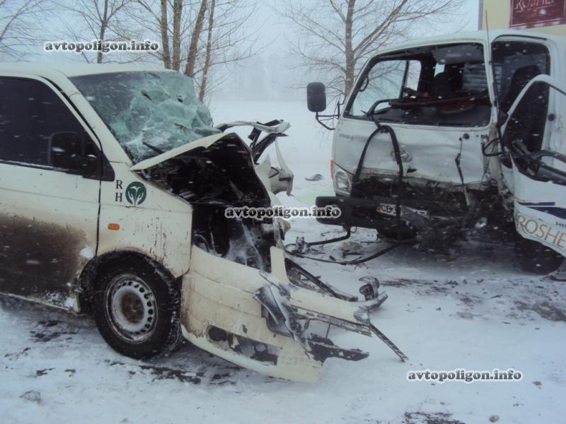 ДТП на Черниговщине: в столкновении VW Т5 и Hyundai HD72 погиб водитель, еще 7 человек травмировано. ФОТО