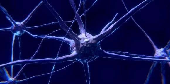 Установлен механизм нейронной смерти при склерозе и деменции