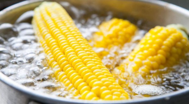 Как правильно варить кукурузу: несколько полезных советов