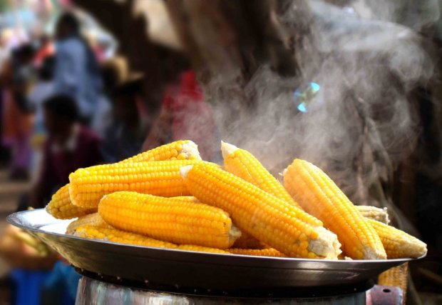 Как правильно варить кукурузу: несколько полезных советов