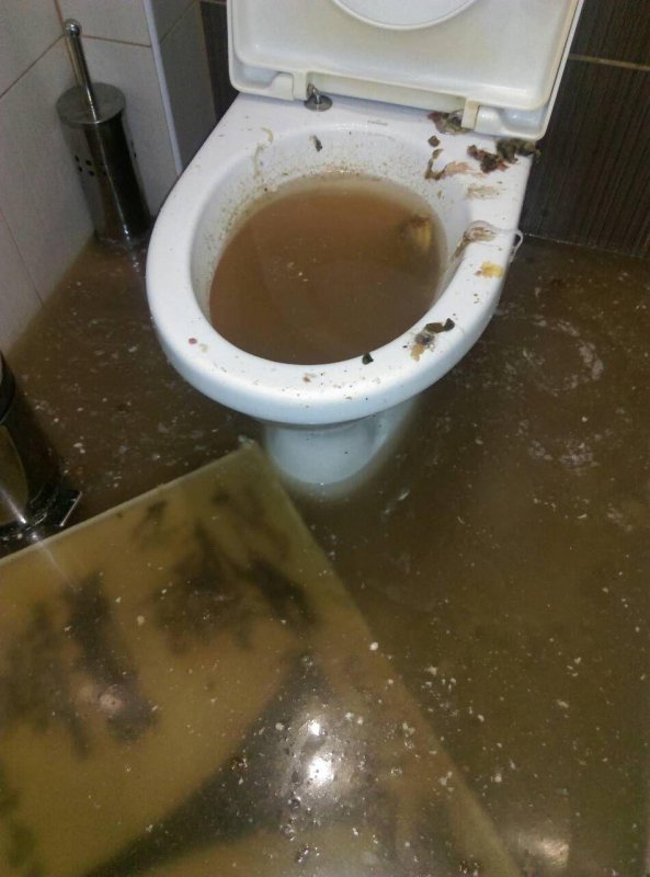 Под Киевом квартиру чиновника затопило фекалиями: фото