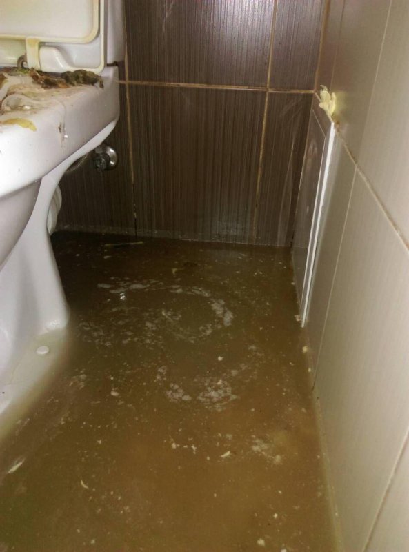 Под Киевом квартиру чиновника затопило фекалиями: фото