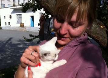 Под Киевом спасли кота, застрявшего в фонарном столбе