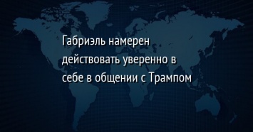 Габриэль намерен действовать уверенно в себе в общении с Трампом