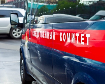 В Барнауле мать избили 6-месячную дочь кулаками