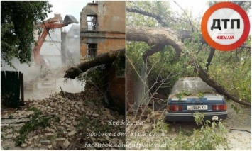 В Киеве экскаватор уронил дерево на автомобиль