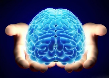 Ученые: Мозг каждого человека содержит больше тысячи мутаций