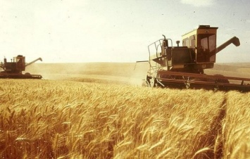 Аграрии продолжают сбор урожая зерновых