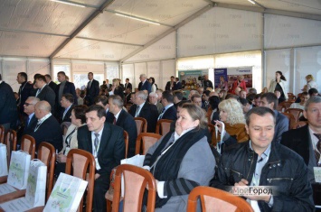 Николаевщину посетили иностранные инвесторы для налаживания сотрудничества