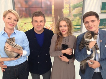 На первой киевской барахолке Кураж Базар будут раздавать котенков