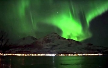 В Норвегии сняты уникальные кадры: киты и северное сияние