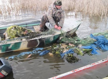 В Донецкой обл. задержали браконьеров, которые нанесли государству крупнейший в этом году ущерб