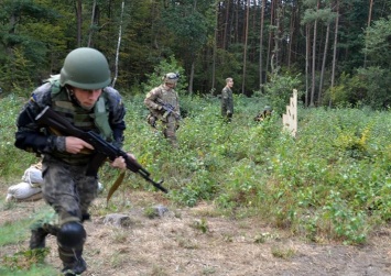 В зоне АТО тихо: ВСУ укрепляют свои позиции (видео)