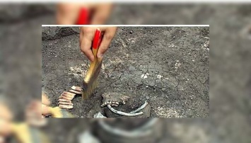 В Польше нашли кладбище бронзового века