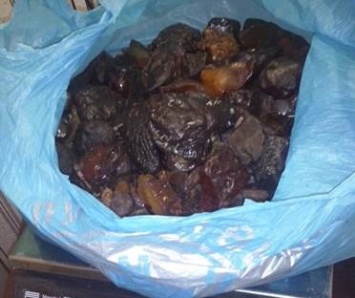 В Ровенской обл. задержан перевозчик янтаря, у него изъяли камней на 560 тыс. грн
