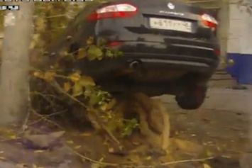 В Липецке легковушка Renault оказалась застрявшей в ветках дерева