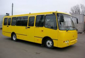 Киевские автобусы будут останавливаться чаще