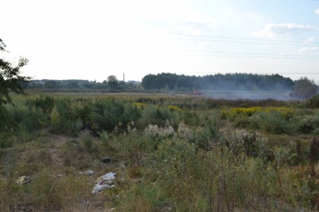 В Киевской области продолжают гореть торфяники