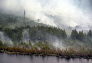 Киевскую область «затянуло» дымом