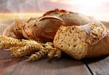 На Днепропетровщине завершается посев озимых: будем ли с хлебом