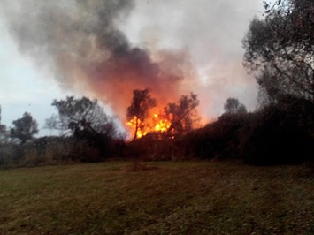 Николаевские спасатели предотвратили уничтожение огнем четырех жилых домов