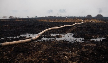 Торфяники под Киевом горят из-за умышленного поджога