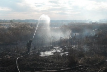 Дождь не спас Киевскую область от возгораний торфа