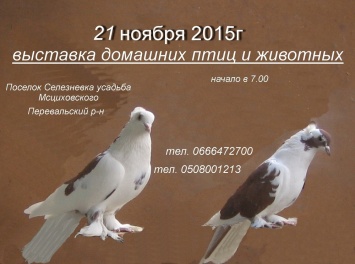 На усадьбе Мсциховского состоится выставка домашней птицы и животных