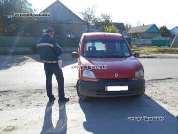 В Одесской области в ДТП погиб ребенок - выбежал под колеса Renault Kangoo... ФОТО