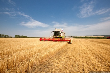 На Николаевщине суд не нашел оснований арестовывать урожай кукурузы "Партнер-Агро"