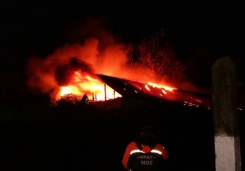 В Константиновке при пожаре в частном доме погибли два человека, - ГосЧС