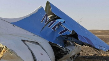 В Петербурге началось опознание погибших в авиакатастрофе над Синаем