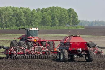 Урожай зерна в РФ в 2015 году обеспечит внутренние потребности страны