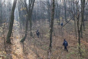 В Тернопольской области в лесу пропала 76-летняя женщина, - ГосЧС