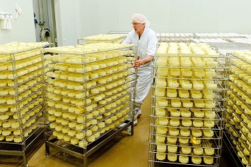 Индия планирует организовать поставку сыра в Россию