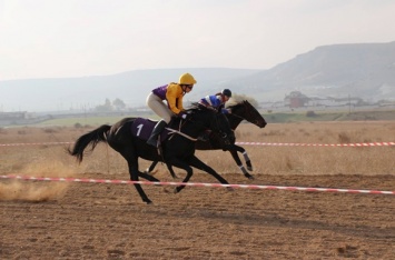 В Крыму определили победителей конных скачек сезона-2015 (ФОТО)