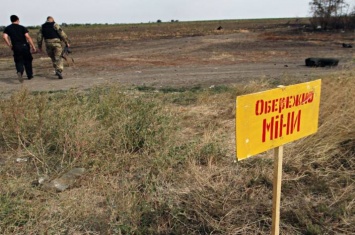 В Старобельском районе полиця находит неразорвашиеся противотанковые мины