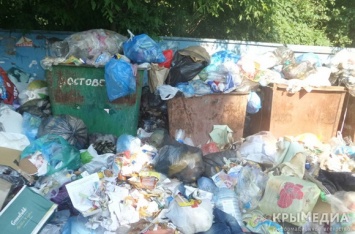 Аксенов о ситуации с мусором в Крыму: «стыдоба и гадюшник»