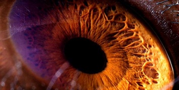 Ученые сообщили, что музыка влияет на глаза человека