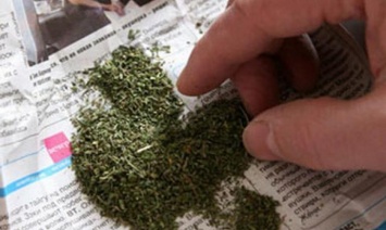На блокпосту Днепропетровщины у пассажира такси изъяли более 5 кг марихуаны